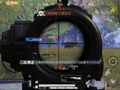 和平精英辅助《异形全透》直装 人物绘制 方框射线 骨骼透视 锁死梓喵